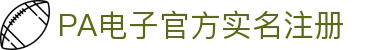 PA电子官网 - 畅玩高品质电子游戏平台